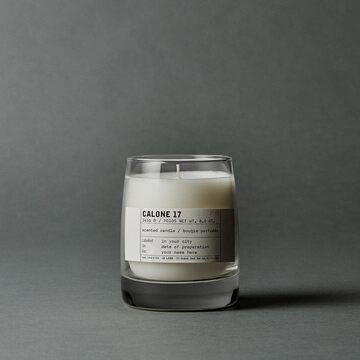 {de:calone 17,en:calone 17}